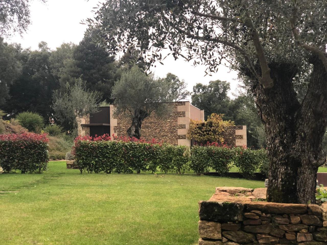 Bosque Da Harmonia Guest House Arco de Baulhe Eksteriør bilde